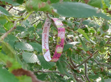 Poetry Rings